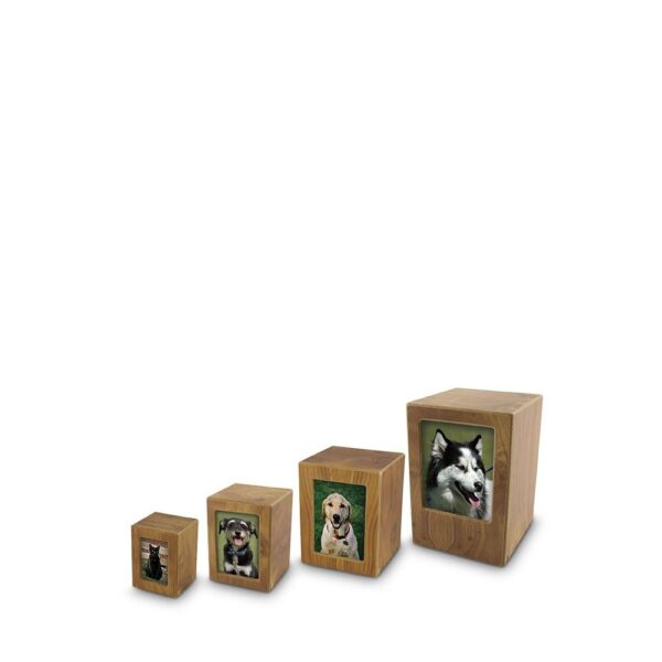 FOTOBOX BEUK - klein, medium, groot en maxi - Afbeelding 2