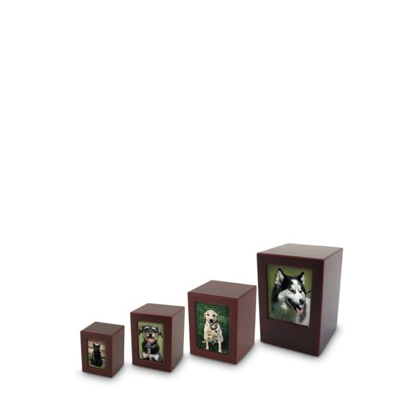 FOTOBOX KERS - klein, medium, groot en maxi – Image 2